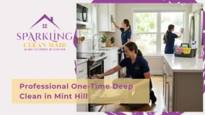 Professional One-Time Deep Clean in Mint Hill